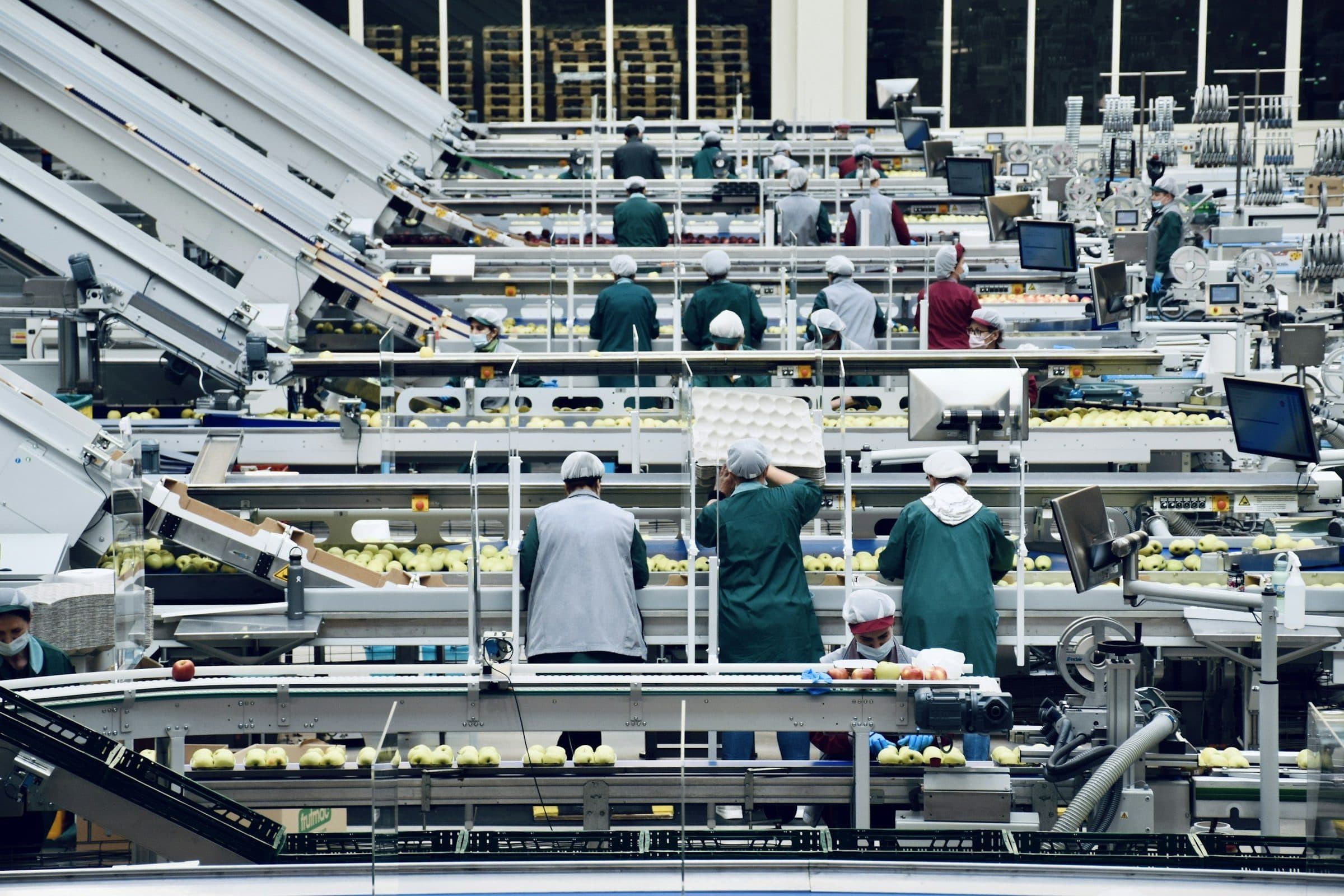 Workers on a food production line