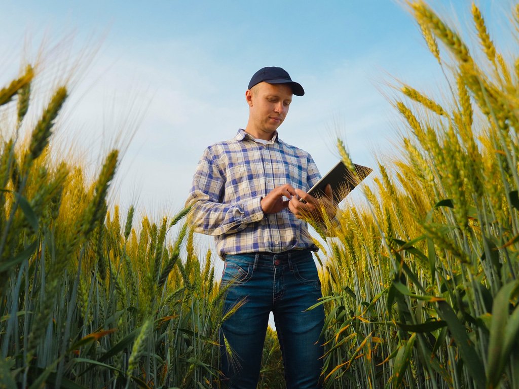 Farmer reviewing the One Big Beautiful Bill Act in Indiana field.